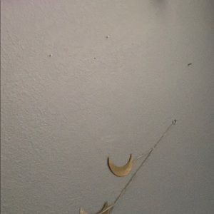 Meet your Posher, Rowyn